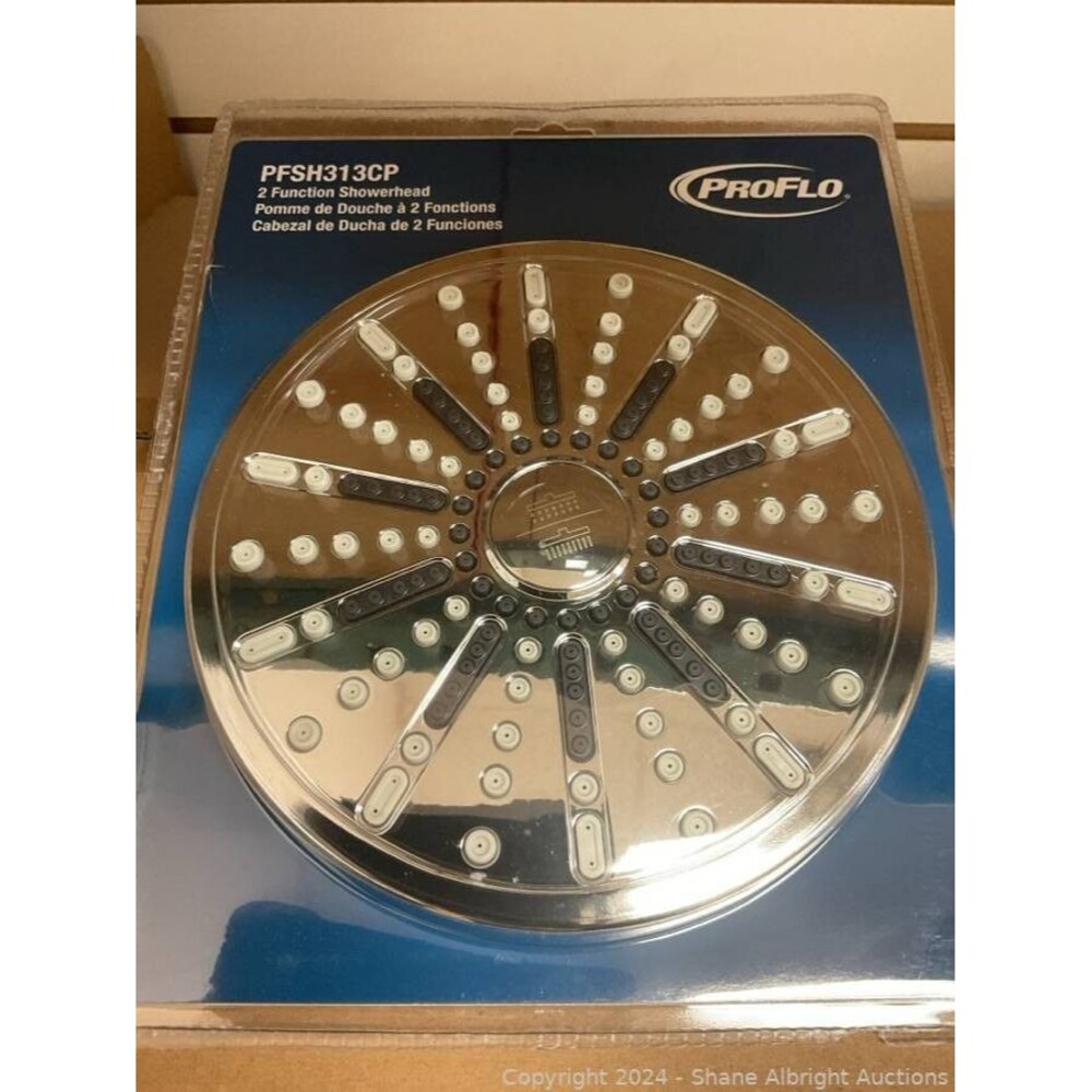 Shower Head PROFLO 2.5 GPM Multi Function Shower Head Model PFSH313CP